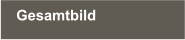Gesamtbild